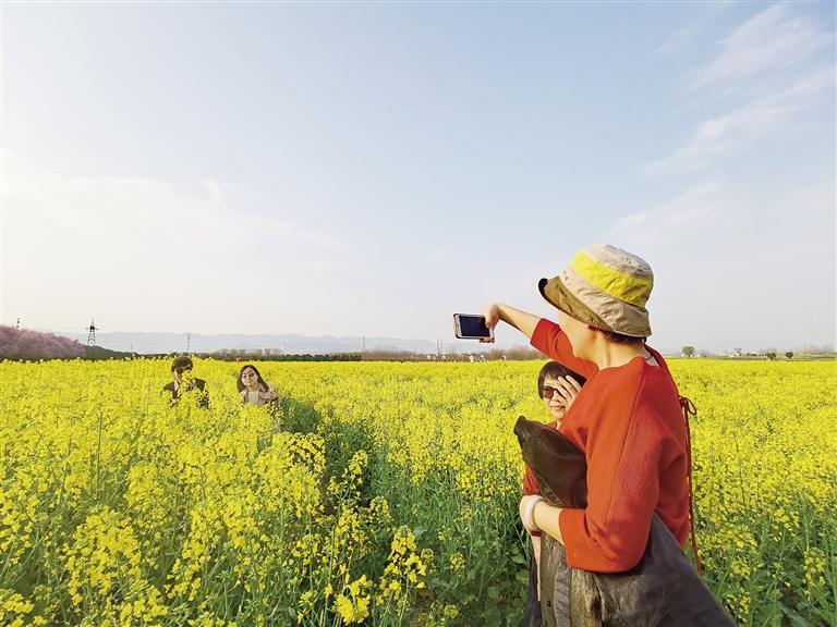 “跟晚报GO”推出本年首个旅游团看最美油菜花海 体会汉中诗画之旅