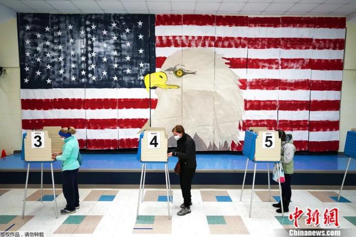 弗吉尼亚州一所小学，选民们正在投票。