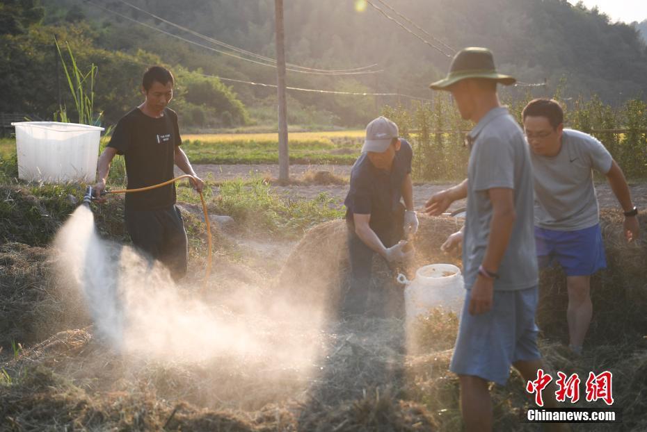 20年耕耘 台湾农人许天佑的“有机农业梦”
