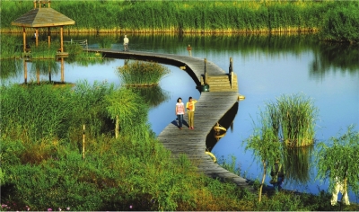 湿地公园　　梁国安摄