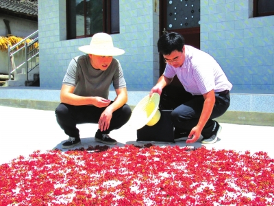 孙伟（右）在村民家中了解花椒收成情况