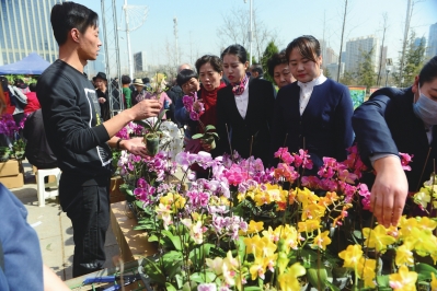 3月12日植树节，市民纷纷走出户外，前往甘肃国际会展中心花卉博览会，选购心仪的花卉。　葛强摄
